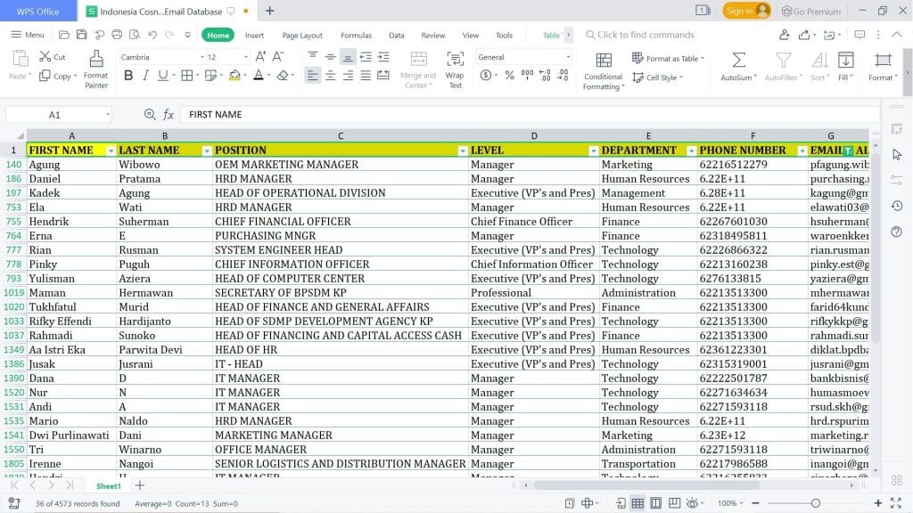 Indonesia Consumer Email Database