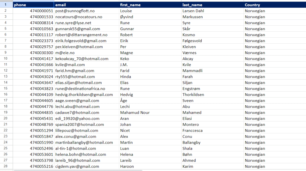 Norway Business email leads sample image