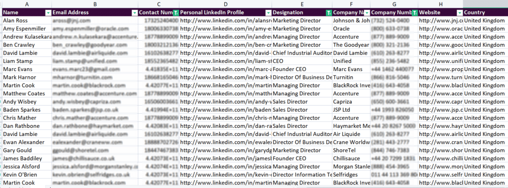 UK Email Database Sample data