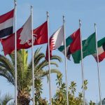 Buy Mena email database 2022