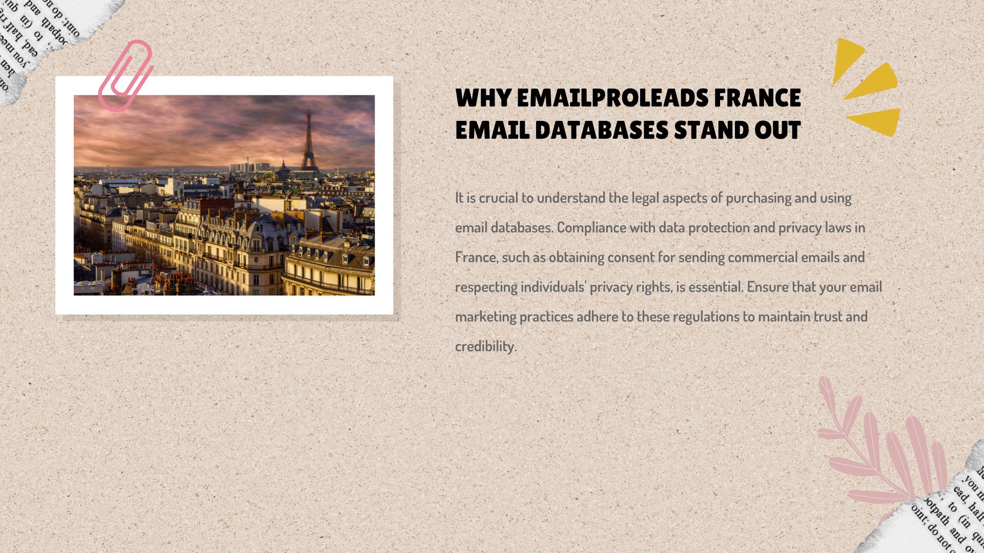 Why Emailproleads France Email Databases Stand Out