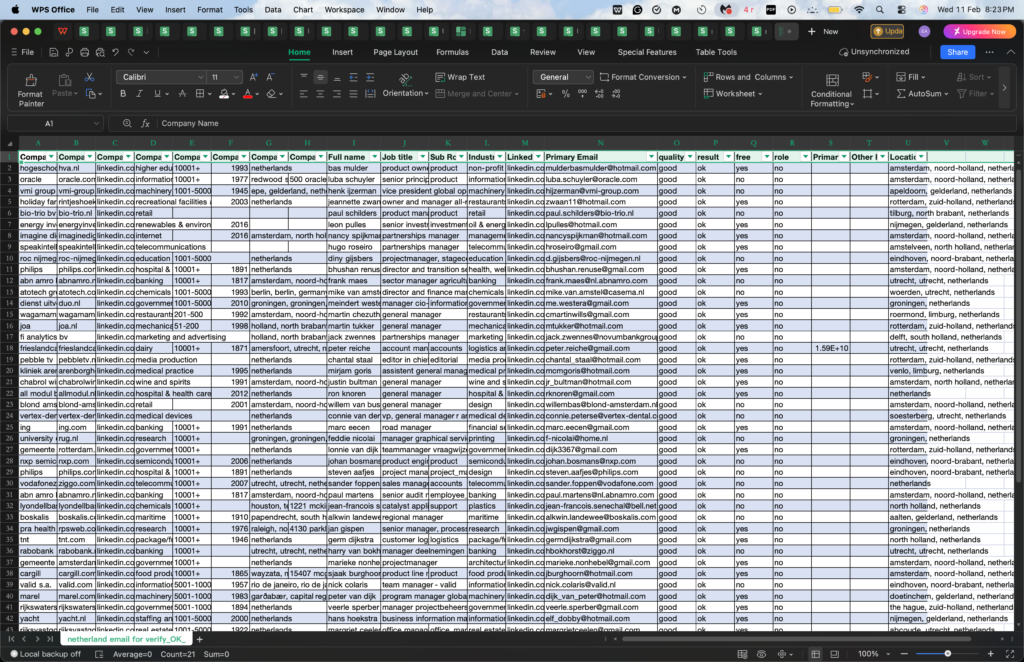 Netherlands Linkedln sample data format