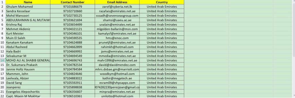 United Arab of Emirates Consumers B2C email database