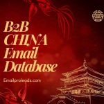B2b China Email Database