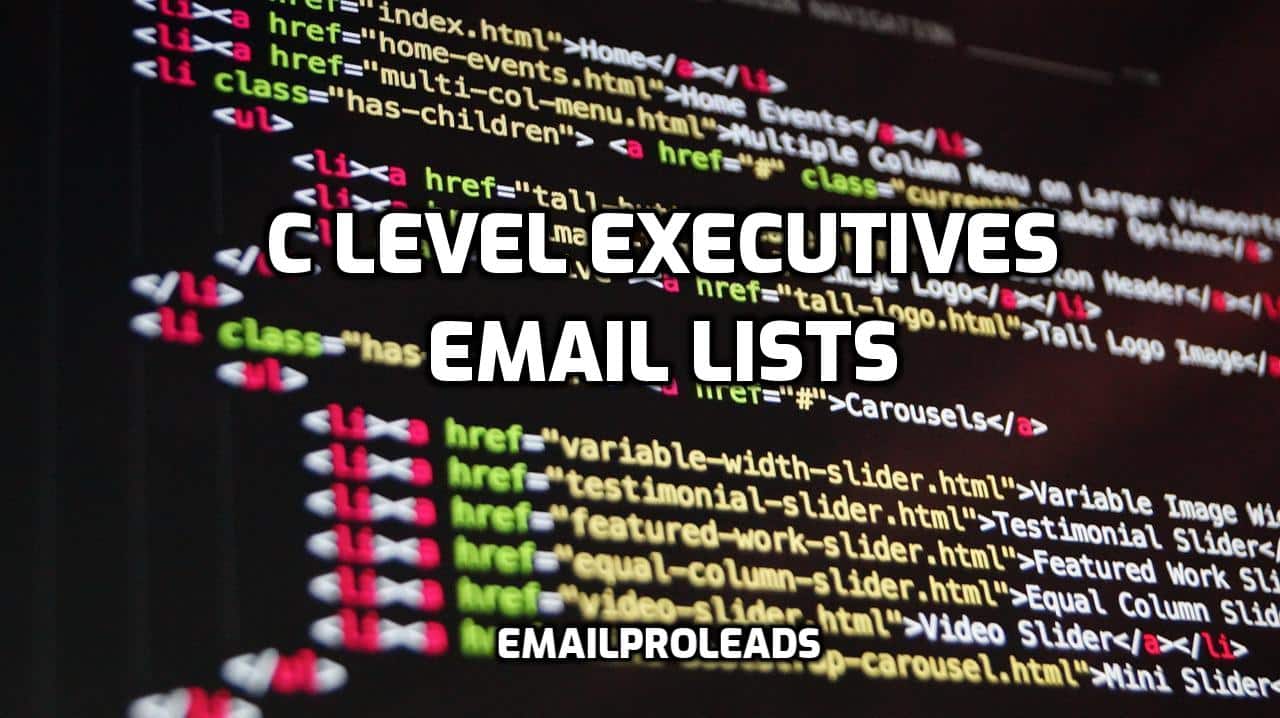 C Level Executives Email Lists