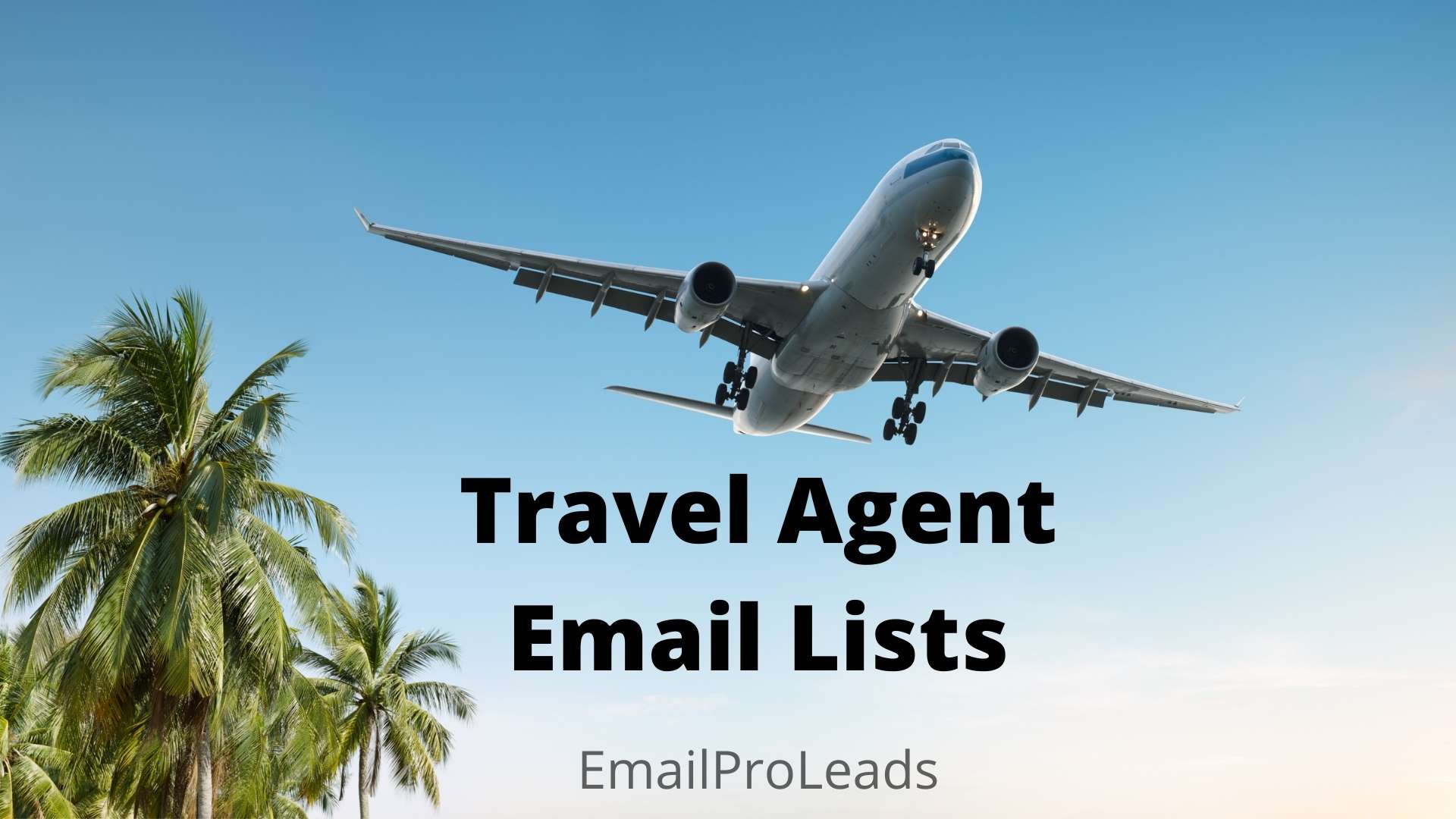 Travel Agents Email List