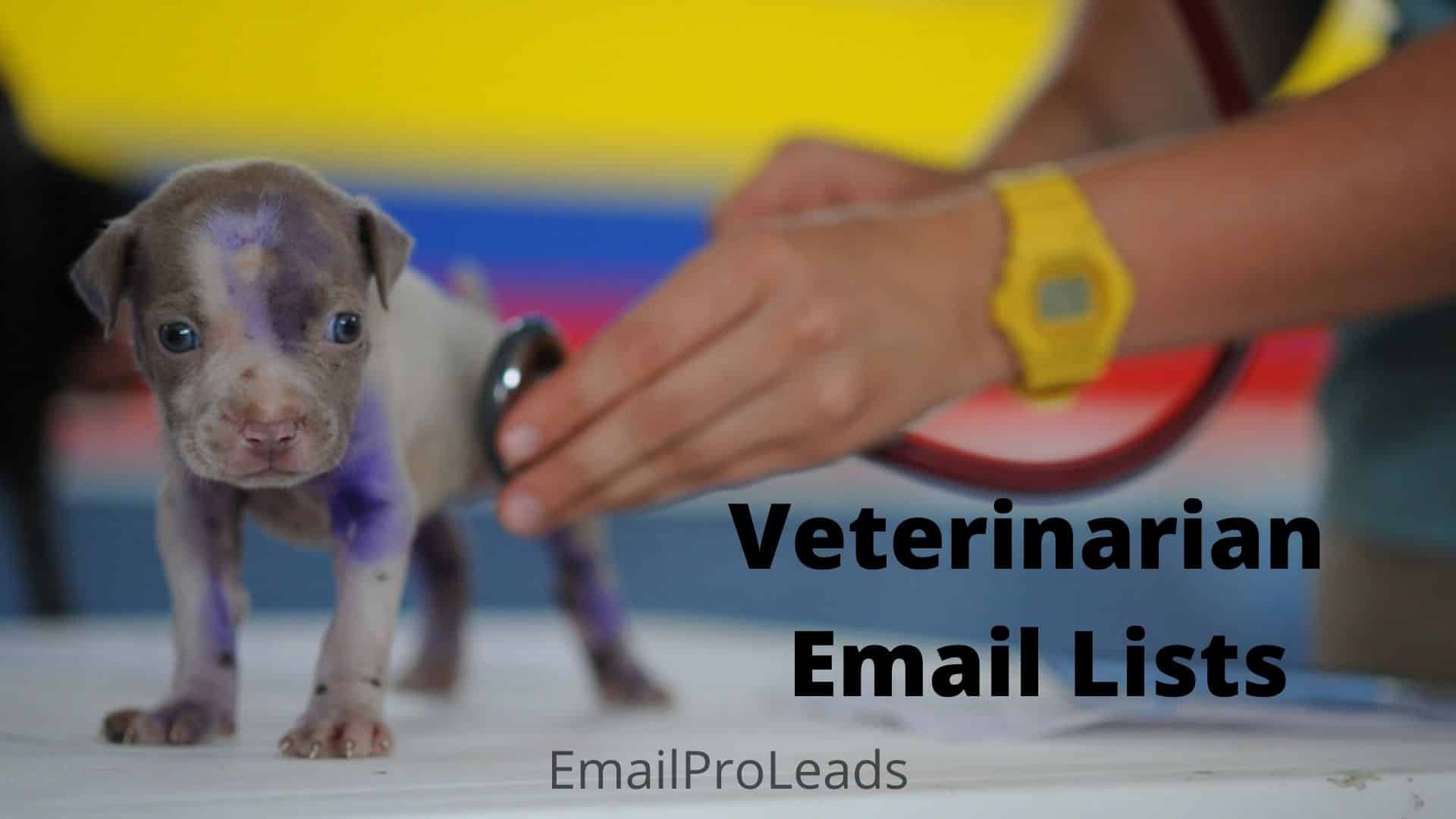 Veterinary Email Lists