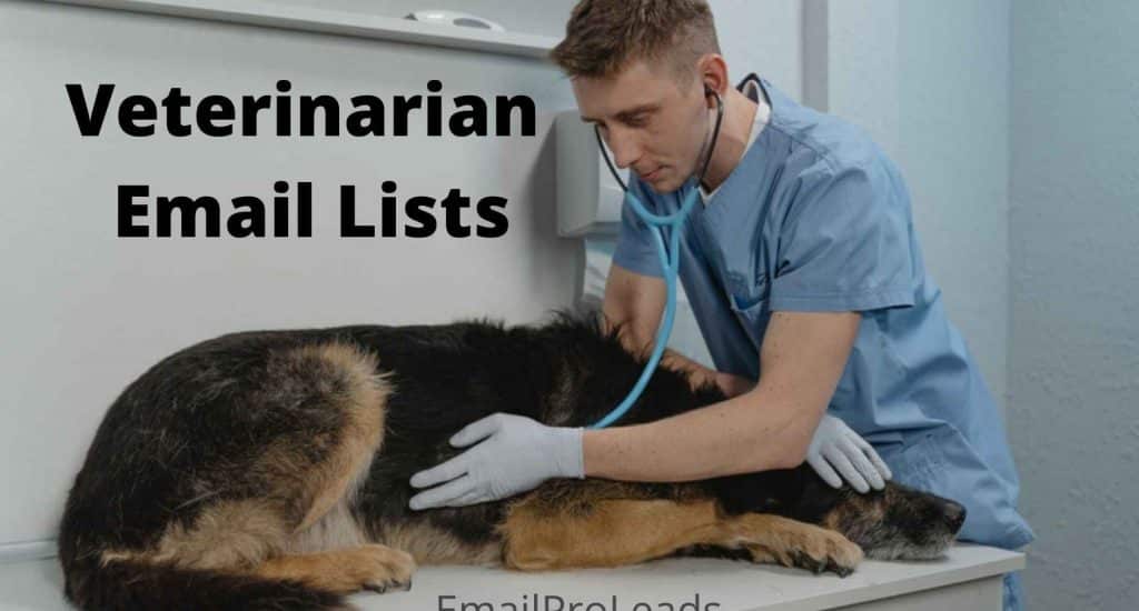 Veterinary Email Lists
