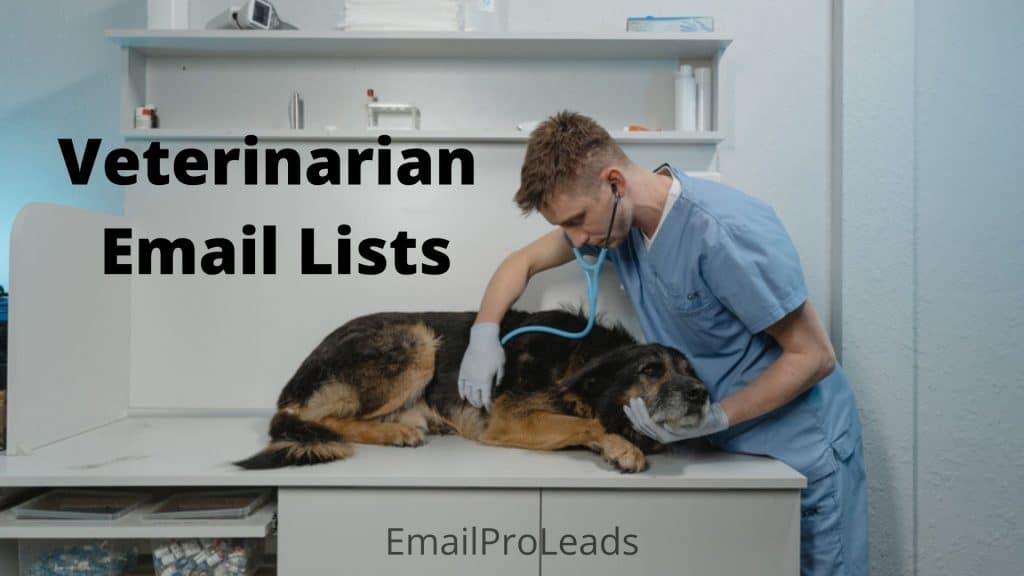 Veterinary Email Lists
