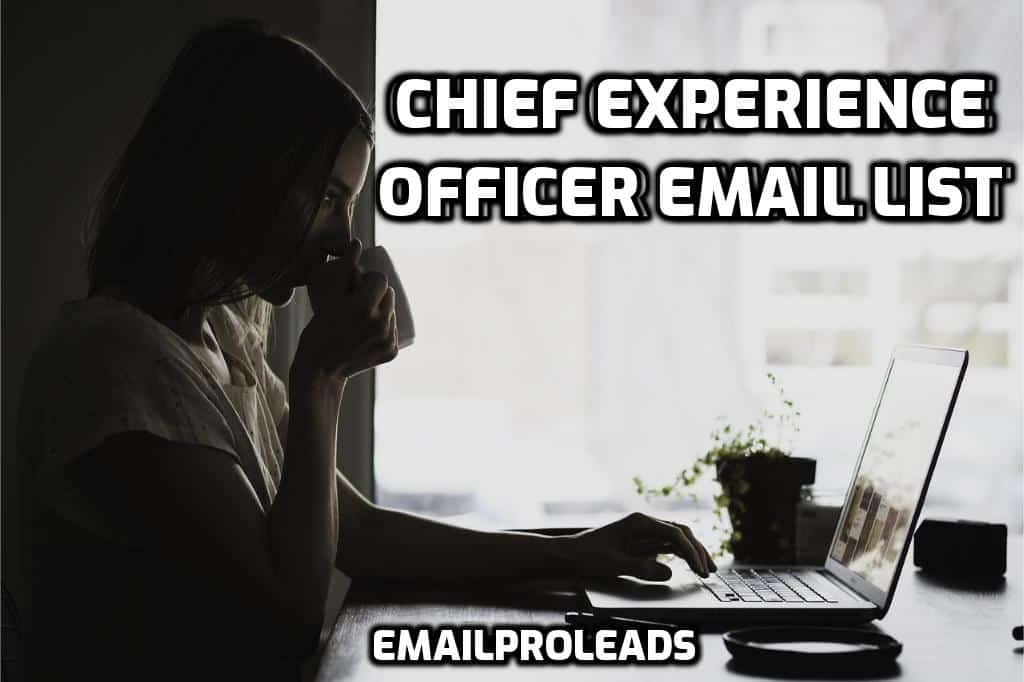 Chief Experience Officer CEO Email List