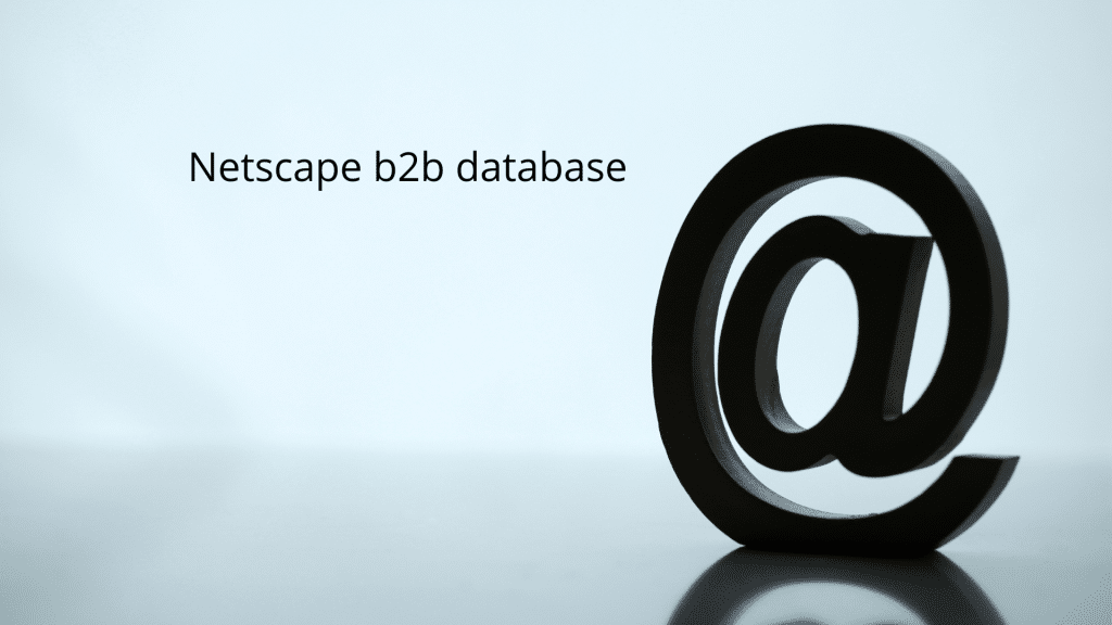 _Netscape b2b database
