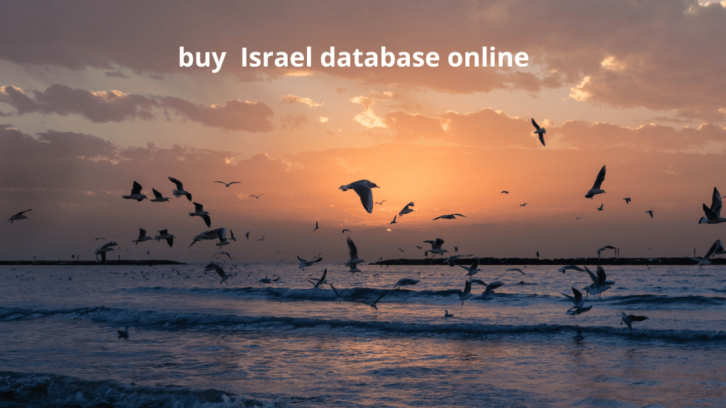 buy Israel database online