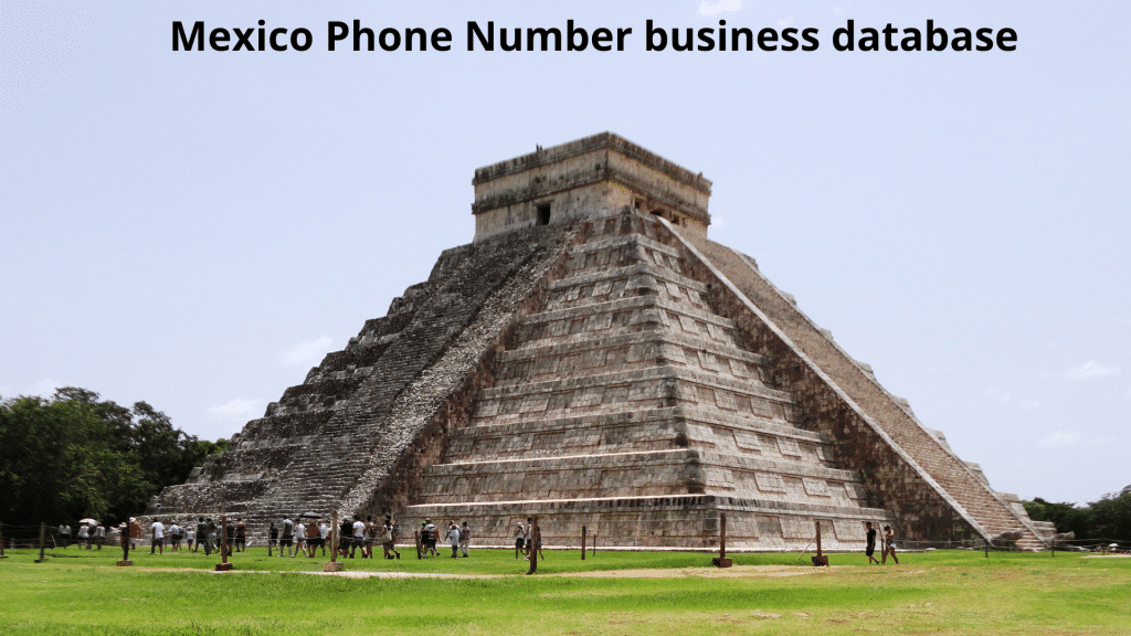 Mexico Phone Number business database