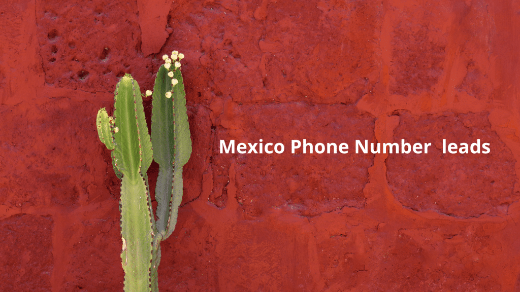 Mexico Phone Number leads