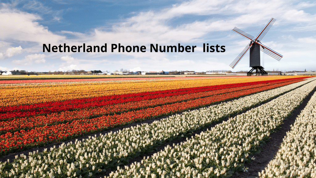 Netherland Phone Number lists