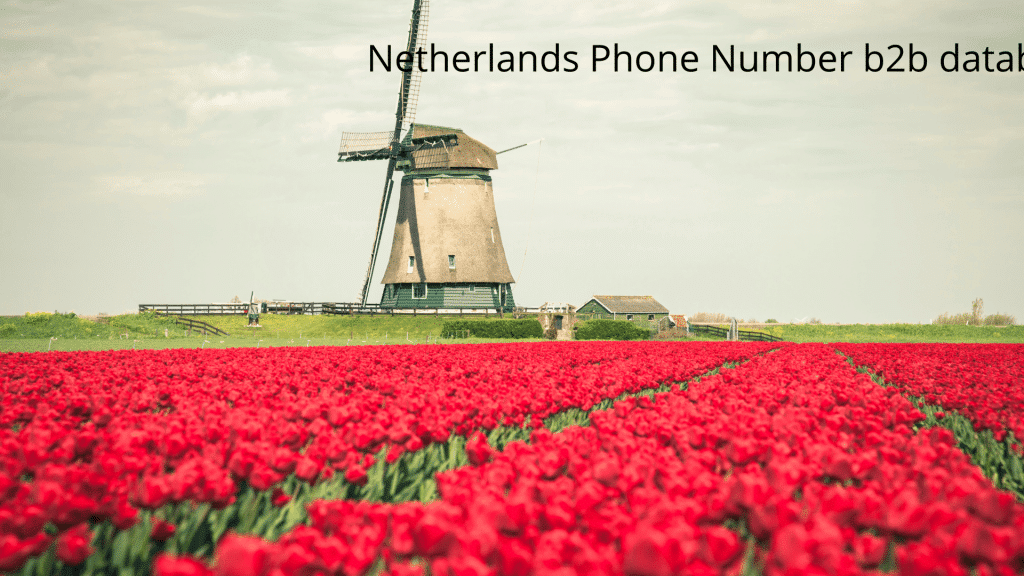 Netherlands Phone Number b2b database