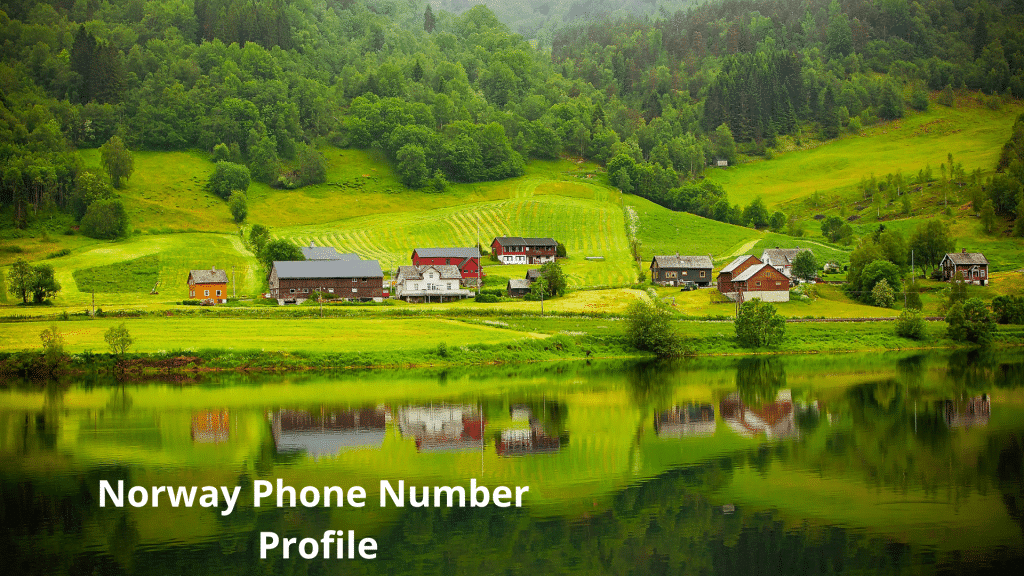 Norway Phone Number Profile