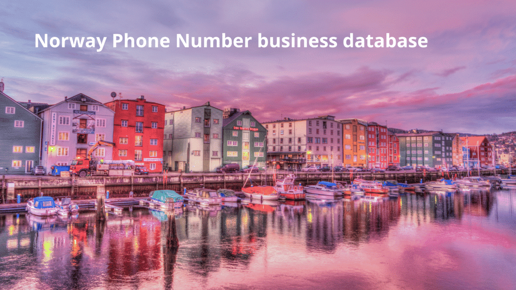 Norway Phone Number business database