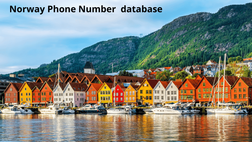 Norway Phone Number database