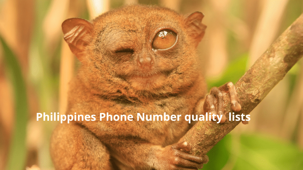 Philippines Phone Number quality lists