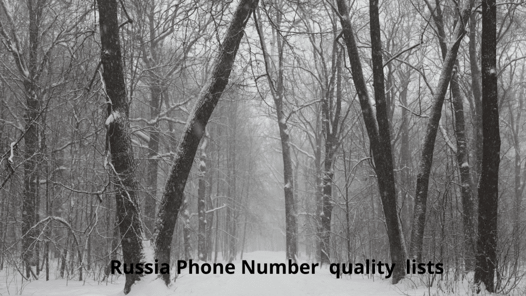 Russia Phone Number quality lists