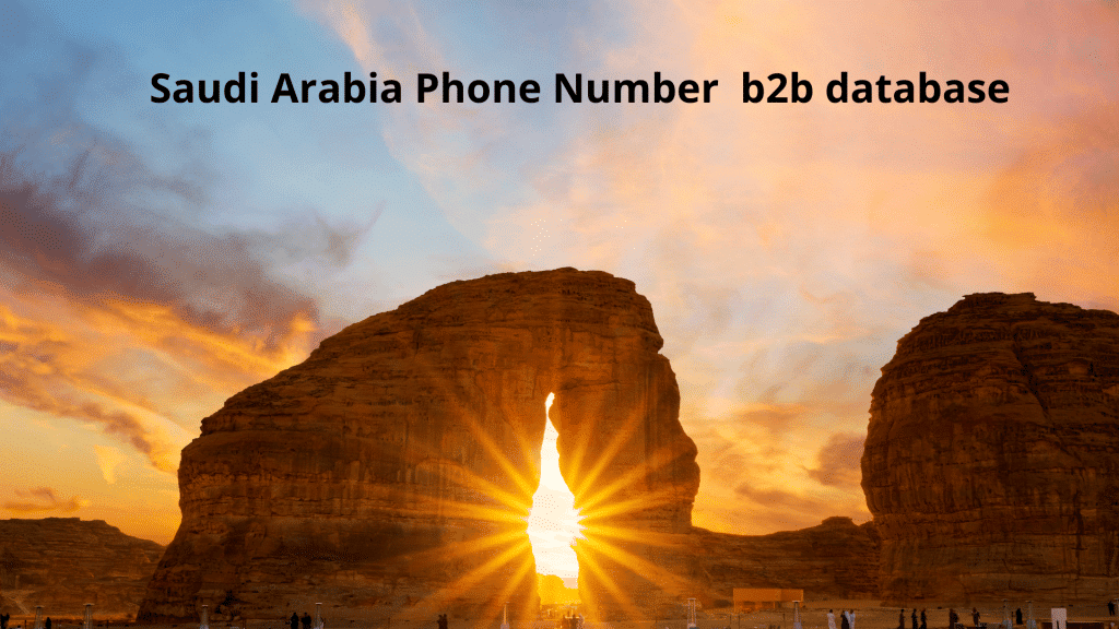 Saudi Arabia Phone Number b2b database