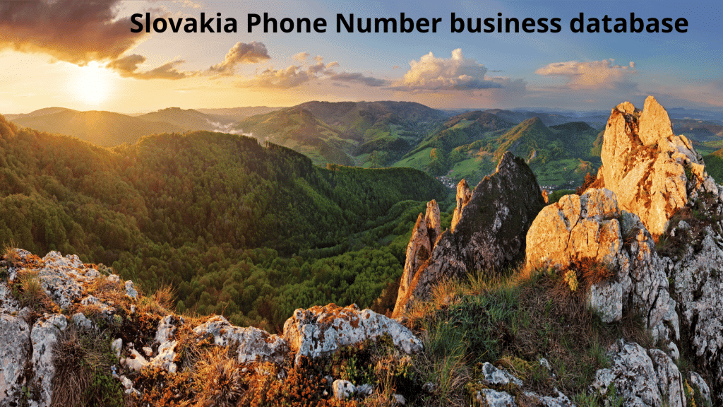 Slovakia Phone Number business database