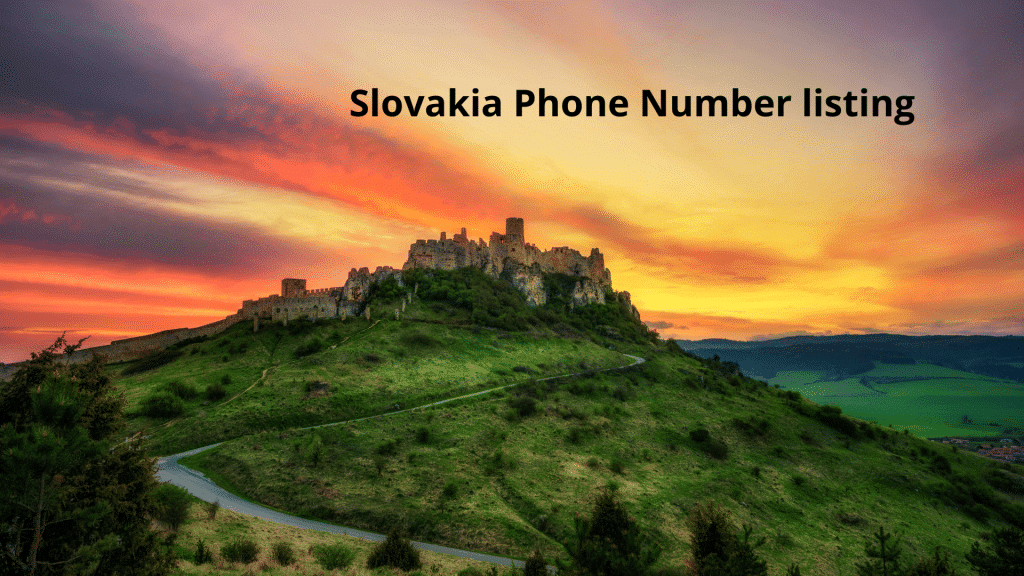 Slovakia Phone Number listing