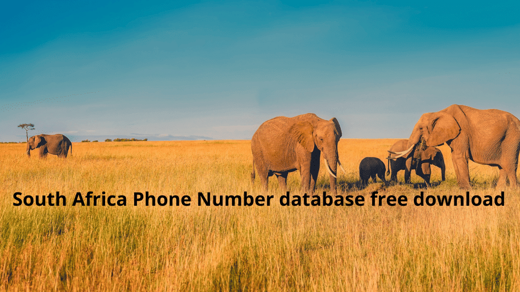 South Africa Phone Number database free download