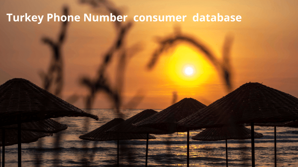 Turkey Phone Number consumer database