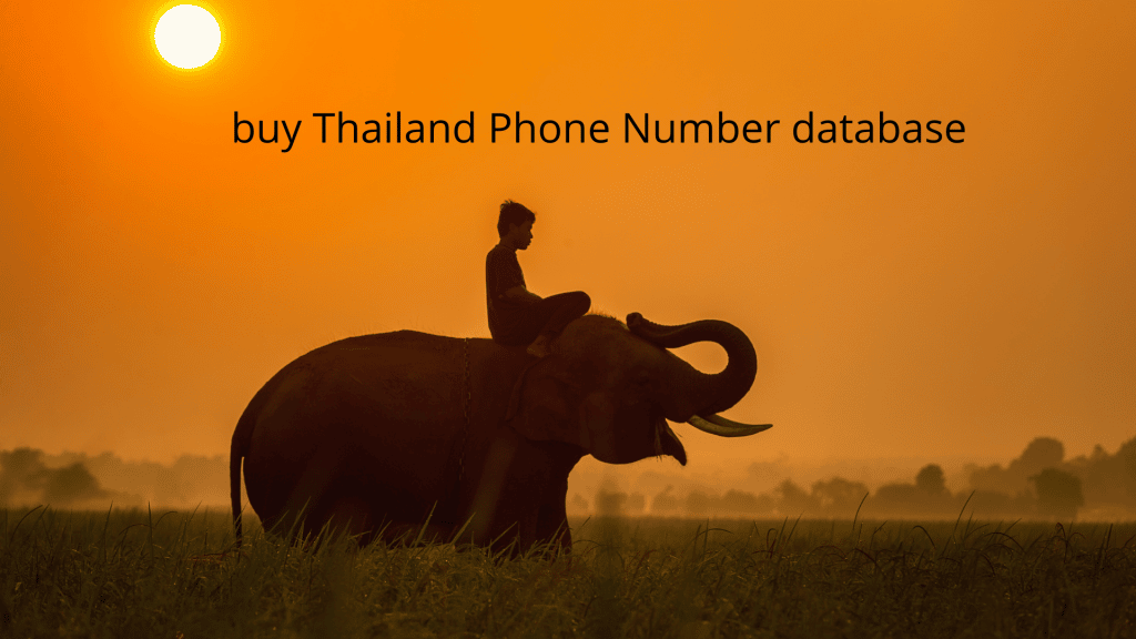 buy Thailand Phone Number database