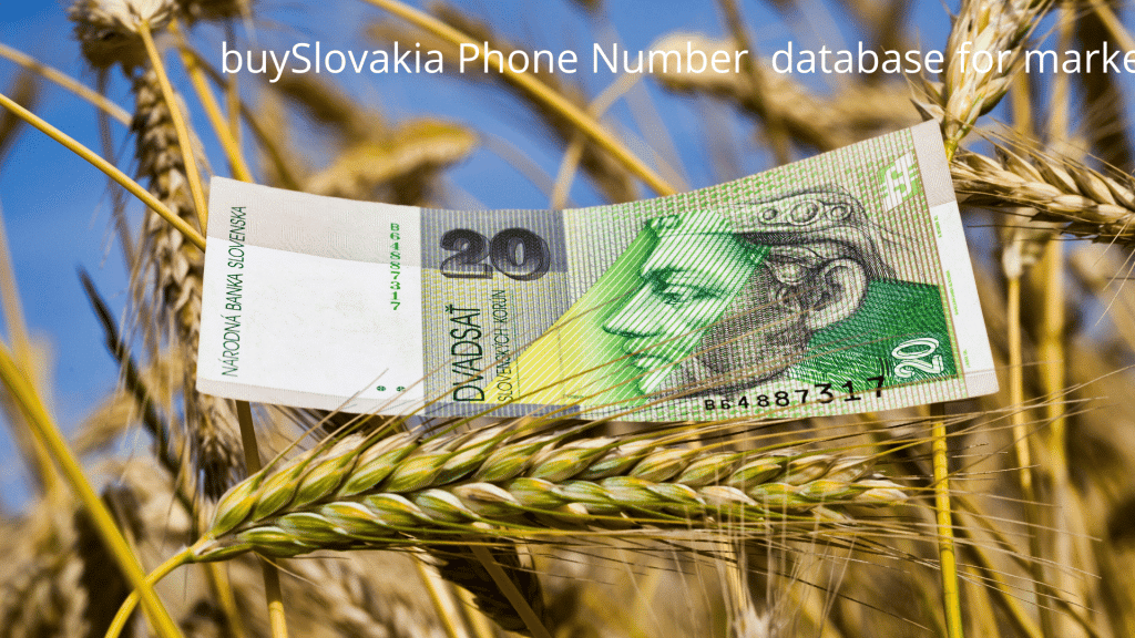 buySlovakia Phone Number database for marketing