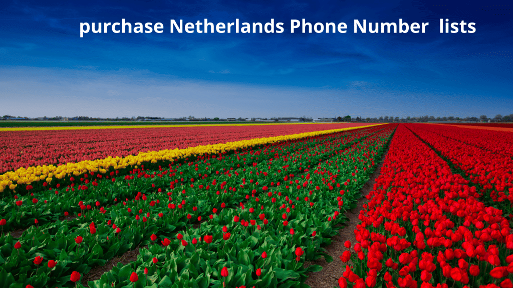 purchase Netherlands Phone Number lists