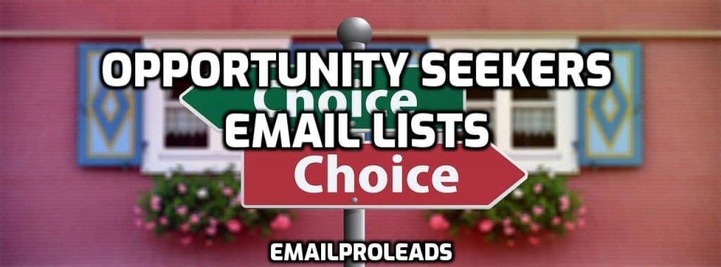 Opportunity Seekers Email Leads