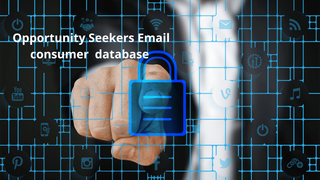 Opportunity Seekers Email consumer database