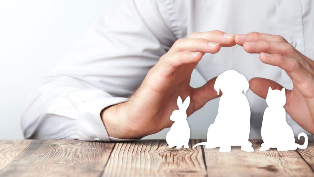 Best Pet Care Industry email leads