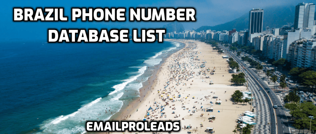 Brazil Phone Number Database