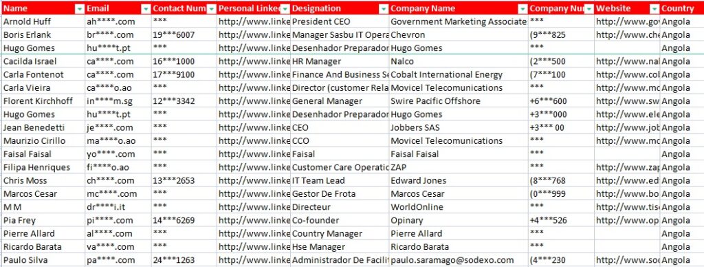 B2C Email Lists for Angola