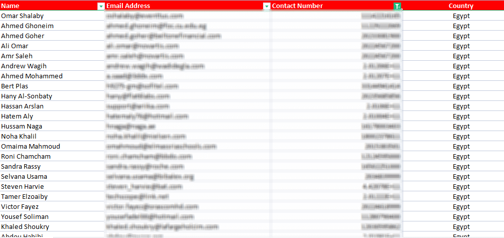 Egypt email List
